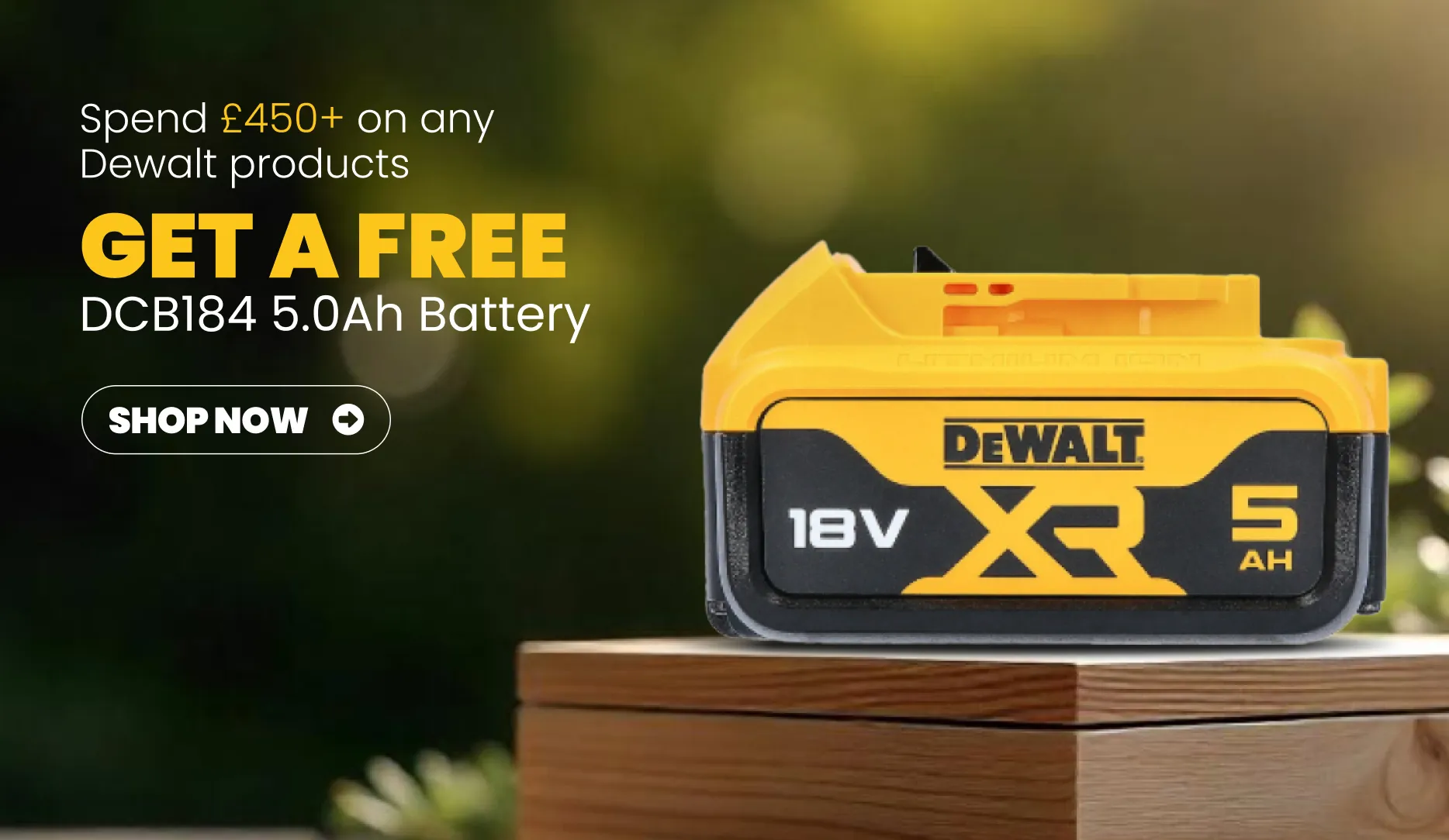 Dewalt Deal